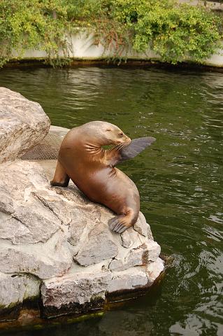 dierentuin emmen_1080
